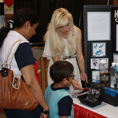 令人放松的网站压力测试